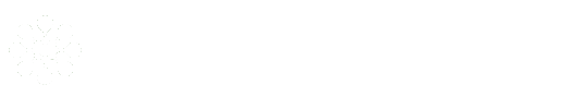  web name
